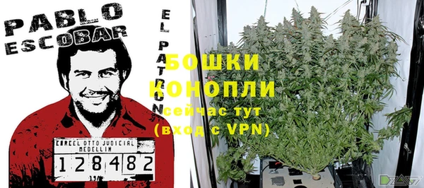 сатива Балабаново
