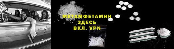 прущие грибы Белокуриха