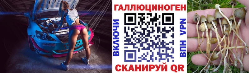 Галлюциногенные грибы MAGIC MUSHROOMS  Великий Устюг 